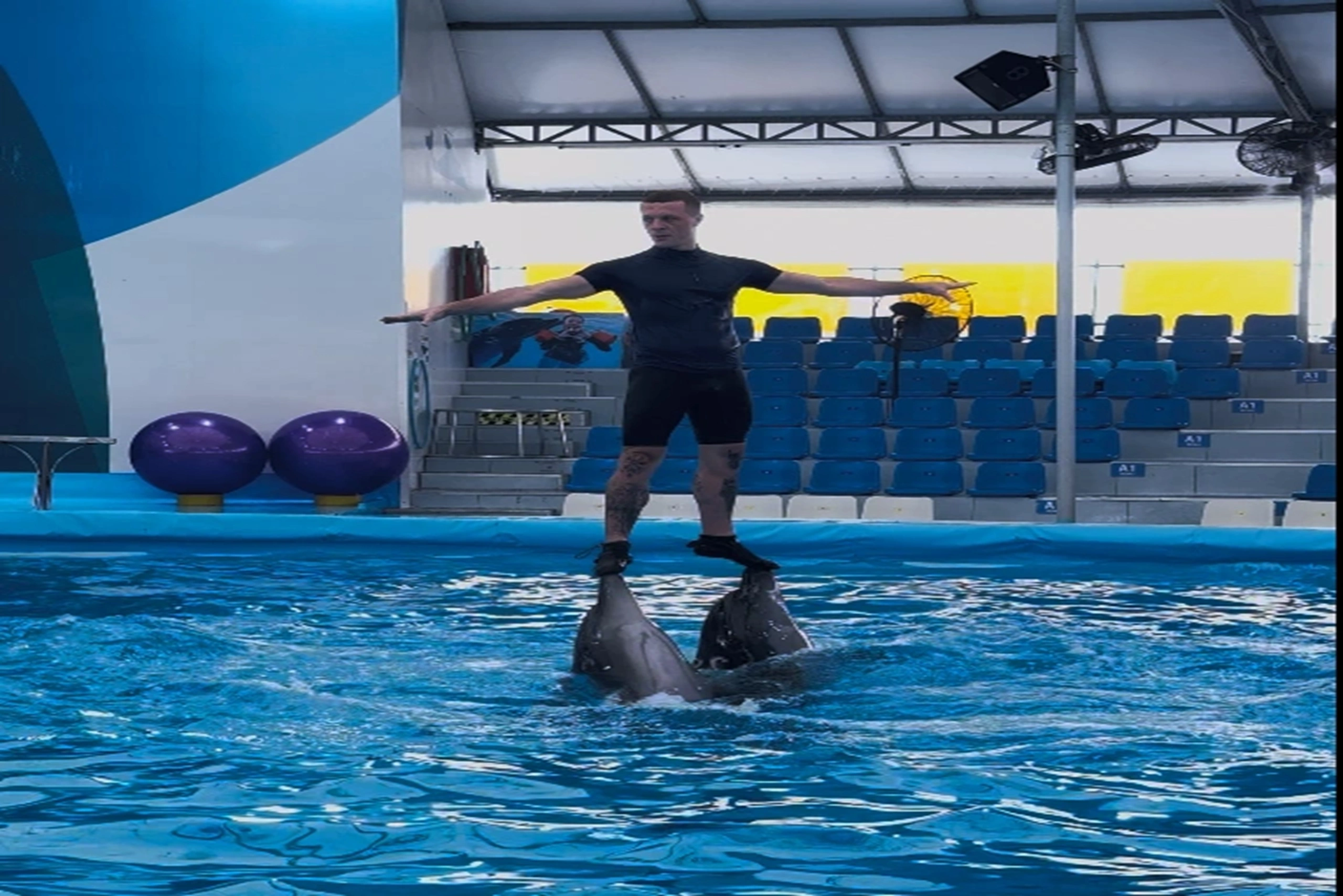 Dolphin show (21) (1)