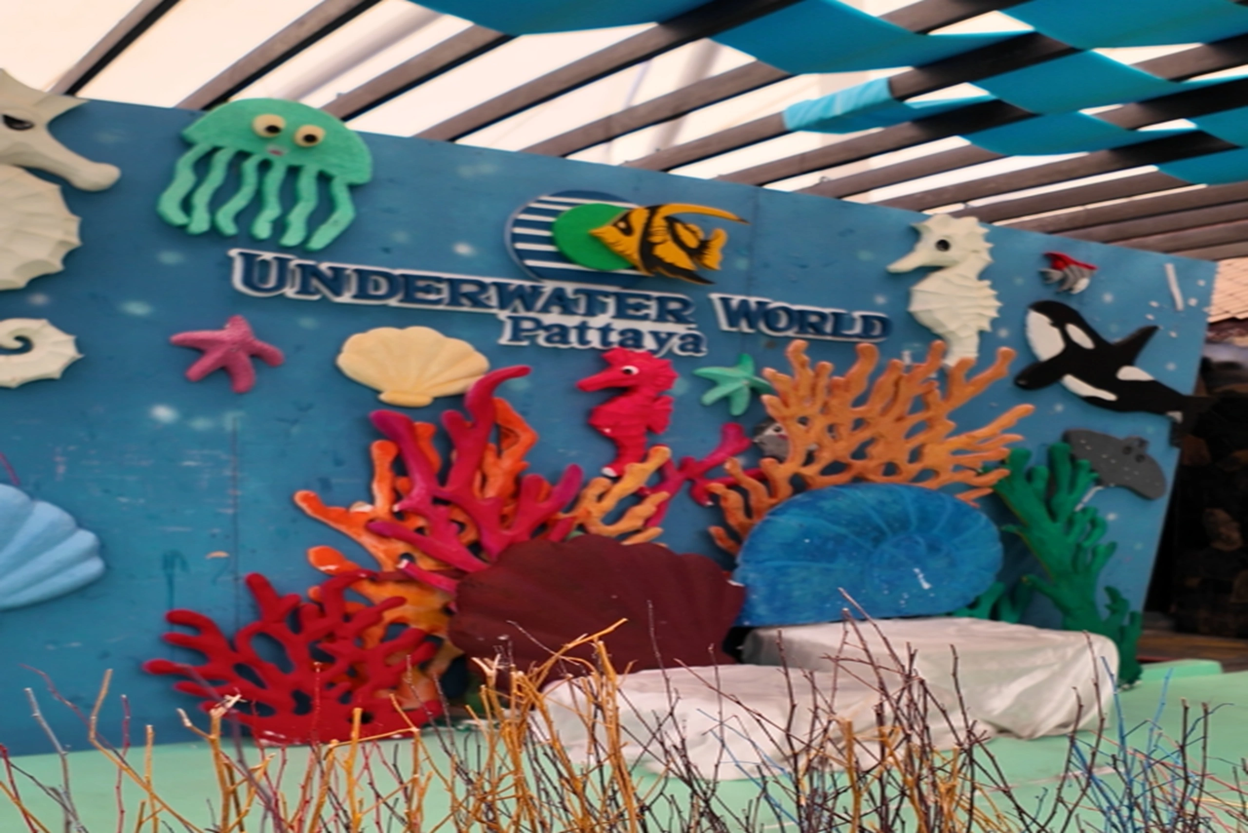 pattaya underwater (11)